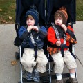 David and Isaac - Twins in Stroller Photo