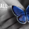 Defy Small. Everything is a Miracle. Butterfly Image.