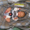 infant