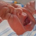 infant pain