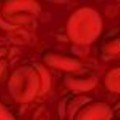 Blood Cells
