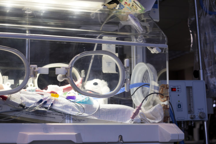 A newborn in an incubator. in the NICU unit