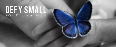 Defy Small. Everything is a Miracle. Butterfly Image.