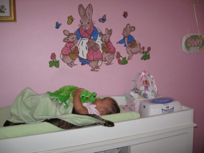 Nursery Wall Mural