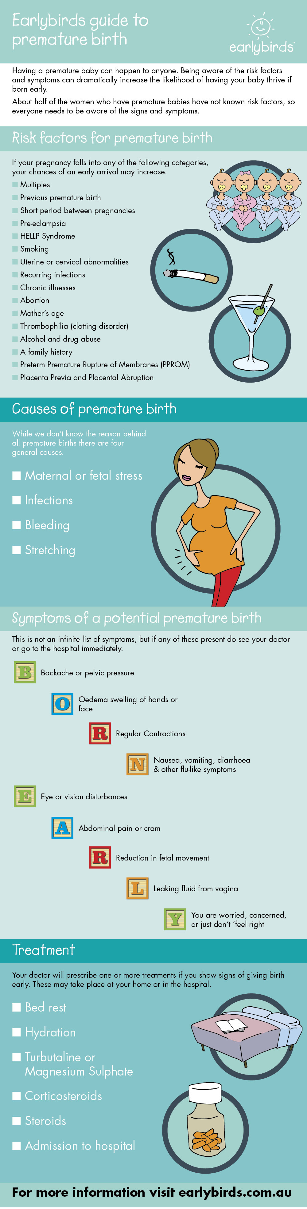 Earlybirds Guide To Premature Birth