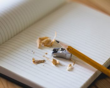 Parent Teachers: 3 Insightful Tips For A Successful Homeschool Program