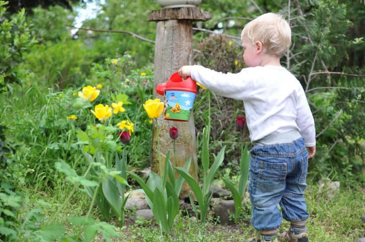 Teaching Your Kids to Garden the Easy Way