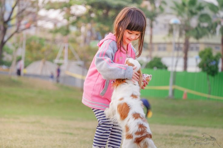 teach kids about boundaries around animals