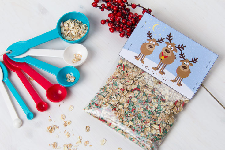 Reindeer Food Recipe