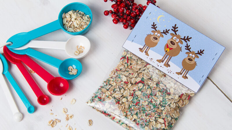 Reindeer Food Recipe And Poems - Preemie Twins Baby Blog