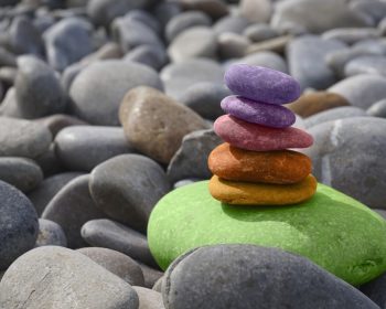 Balancing the Needs of Your Family