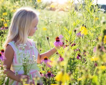 Girl picking flowers in the summer