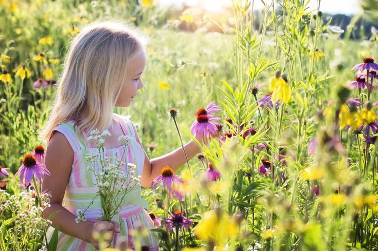 Girl picking flowers in the summer