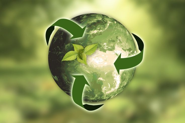 How to Make Your Home More Environmentally Friendly