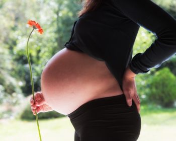 3rd Trimester Pregnancy