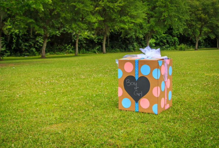 It's A... Baby! How to Plan a Gender Reveal Party