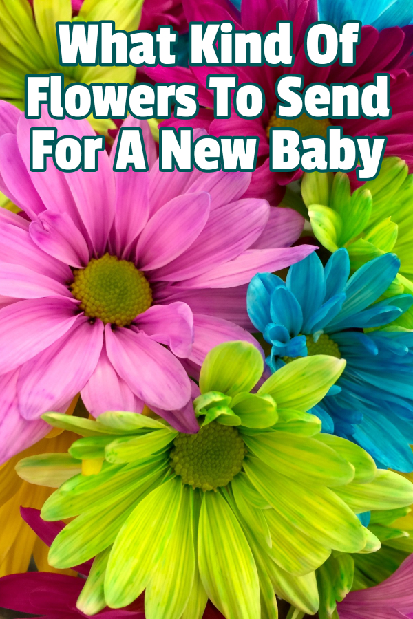 What Kind Of Flowers To Send For A New Baby