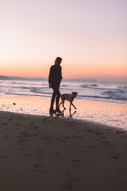 lady and dog walking on beach