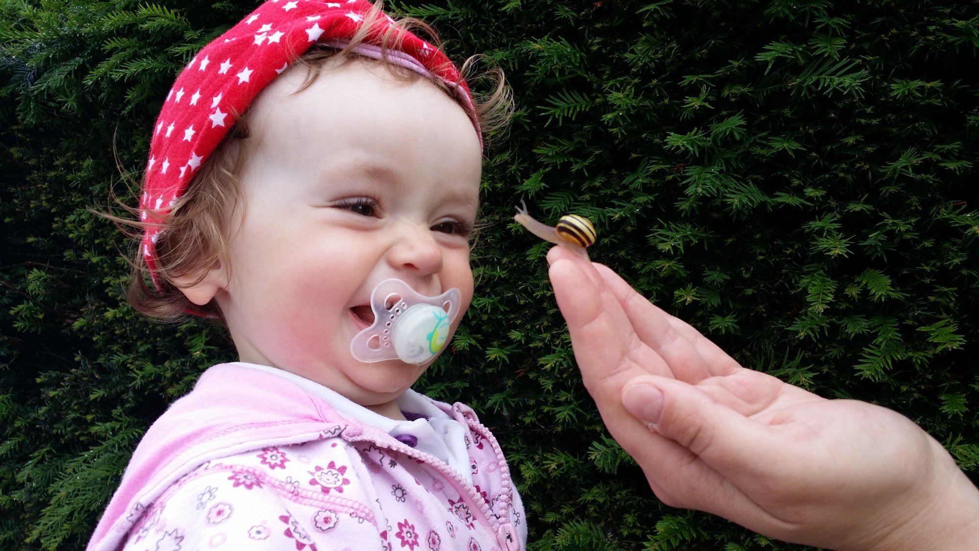 A New Parent's Guide to Introducing a Pacifier Preemie Twins Baby Blog