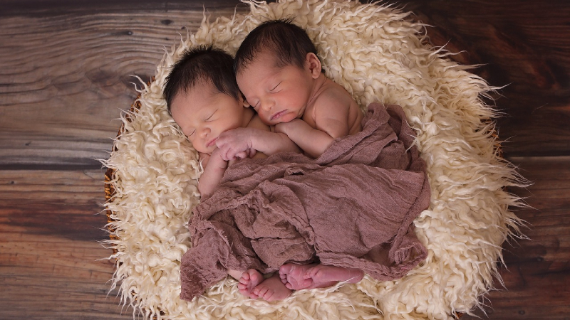 Nursery for twins