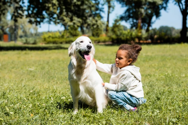 Best Dog Breeds for Small Kids Bulldog Golden Retriever