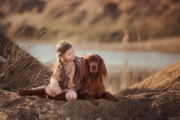 Best Dog Breeds for Small Kids Irish Setter