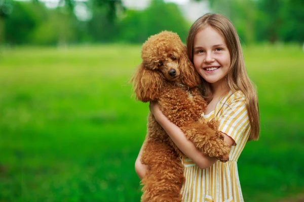 Best Dog Breeds for Small Kids Poodle