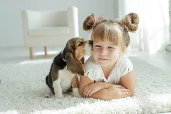 Best Dog Breeds for Small Kids