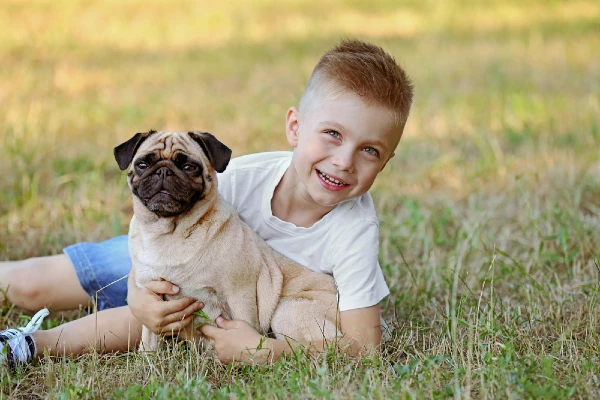 Best Dog Breeds for Small Kids pug