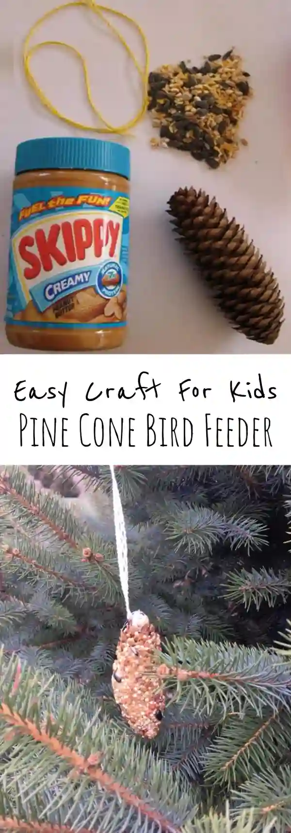 Pine Cone Bird Feeder Craft